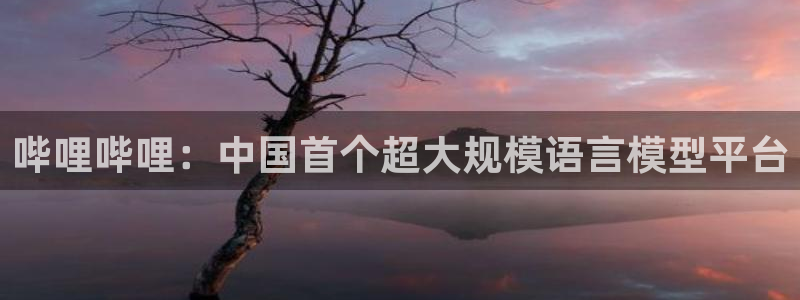 虫虫漫画在线阅读免费漫画入口：哔哩哔哩：中国首个超大规模语言模型平台