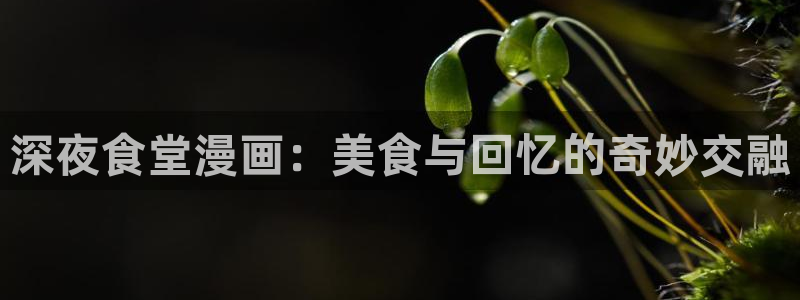 虫虫漫画全集免费：深夜食堂漫画：美食与回忆的奇妙交融